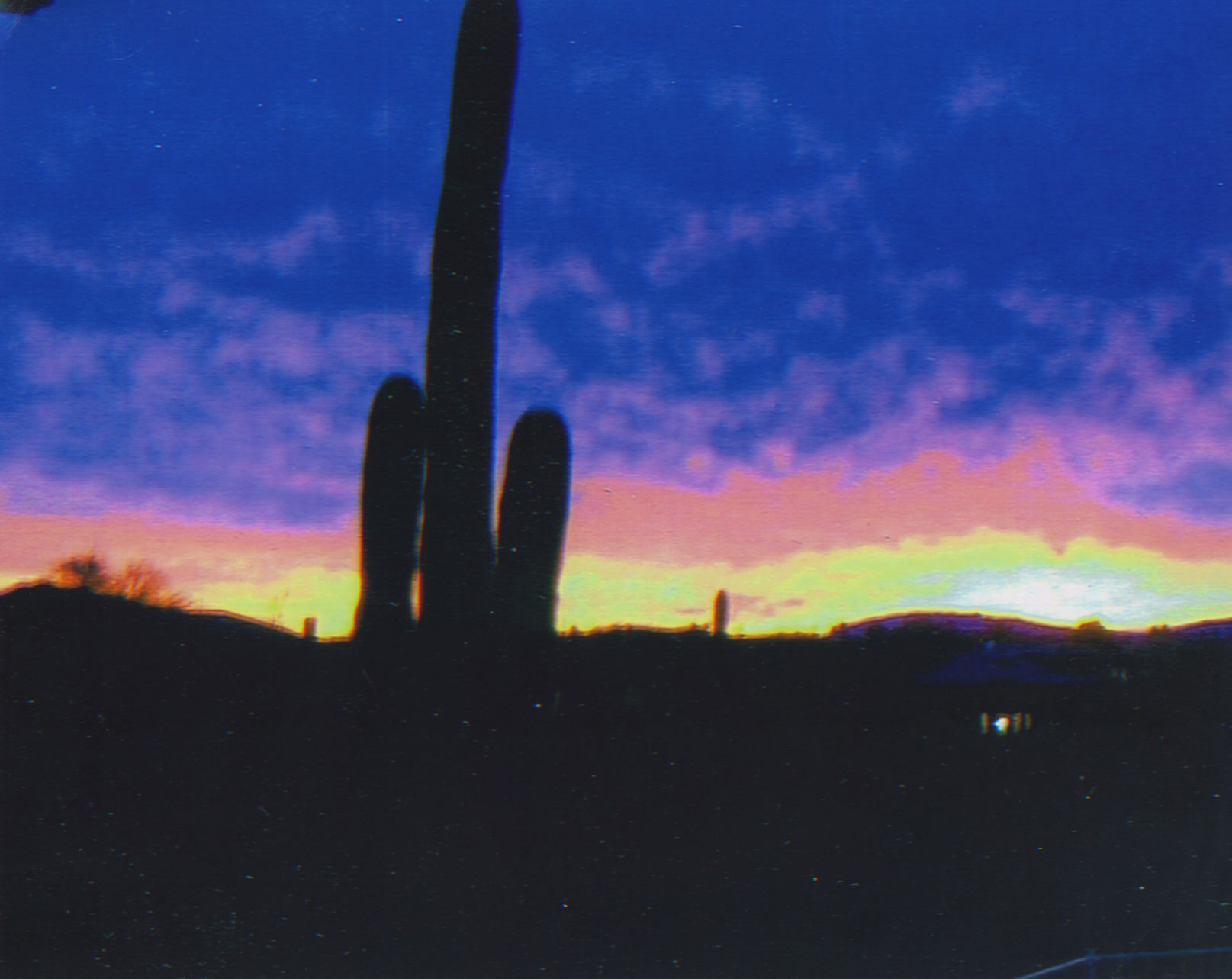 Old Pueblo shutterbugs